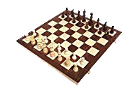 Amazon Chess Set